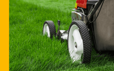 Safety First: 5 Essential Lawn & Garden Tools for a Picture-Perfect Yard