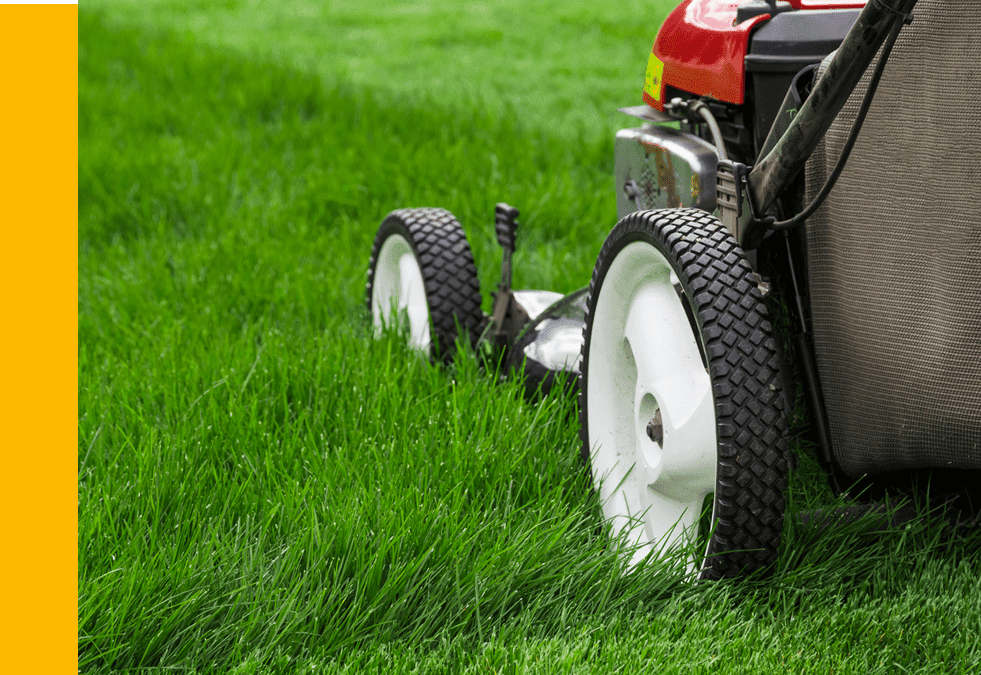 Safety First: 5 Essential Lawn & Garden Tools for a Picture-Perfect Yard