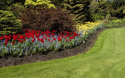 How to Prep Your Garden: Front-Tine vs. Rear-Tine Rototillers